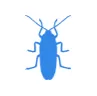 Уничтожение тараканов в Назарево